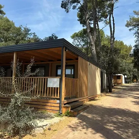 Mobile Eden Pavlov *