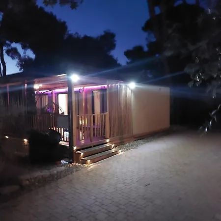 Mobile Eden Pavlov