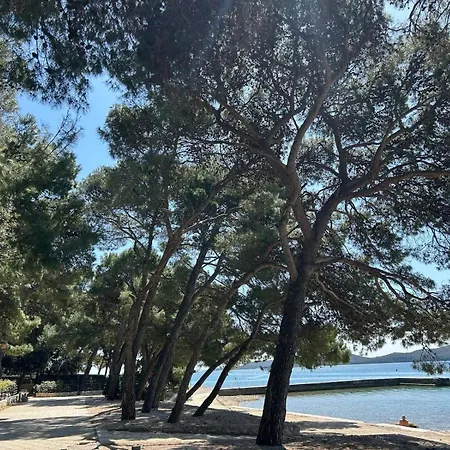 Mobile Eden Pavlov Kemp