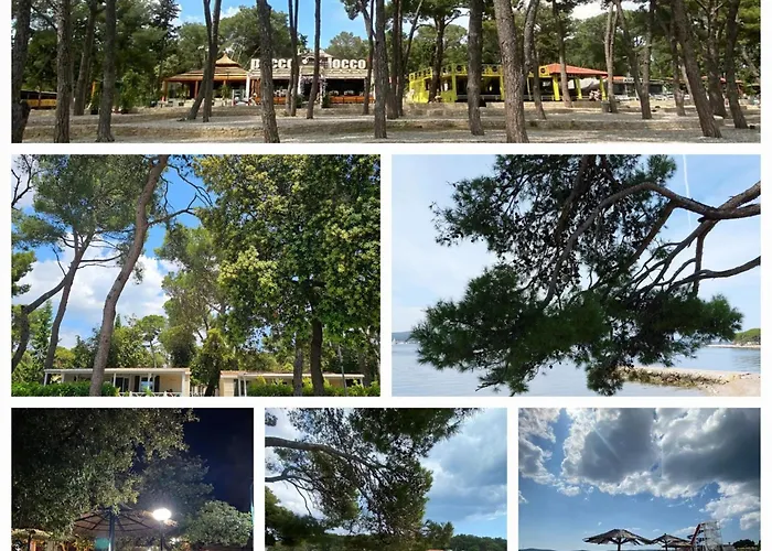 Mobile Eden Pavlov Kemp