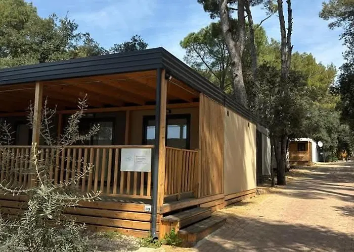 Mobile Eden Pavlov *