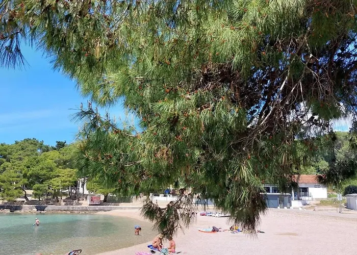 Mobile Eden Pavlov * Biograd Na Moru