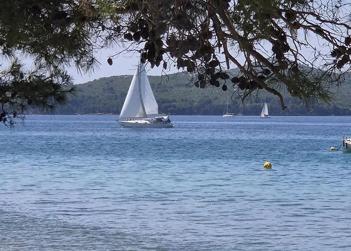 Mobile Eden Pavlov Kemp *