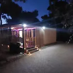 Mobile Eden Pavlov