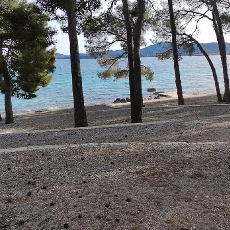 Mobile Eden Pavlov *