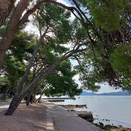 Mobile Eden Pavlov Κάμπινγκ