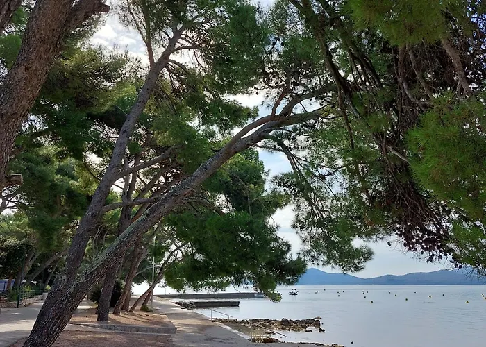 Mobile Eden Pavlov 캠프장