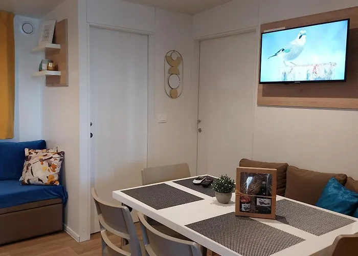 Mobile Eden Pavlov 비오그라드나모루