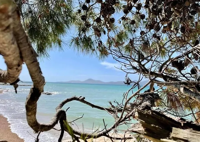 캠프장 Mobile Eden Pavlov *