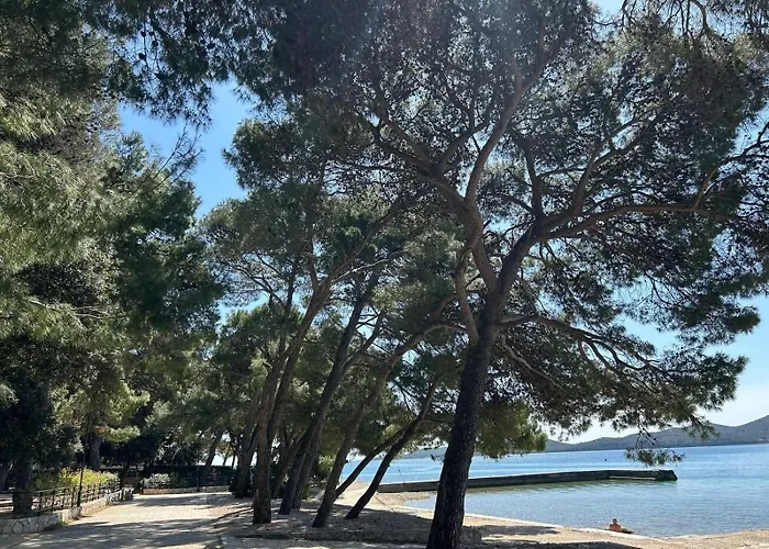 Mobile Eden Pavlov 캠프장