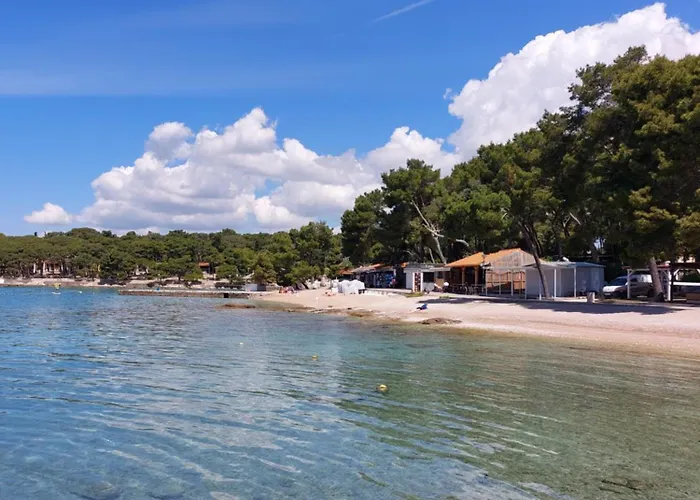 Mobile Eden Pavlov *